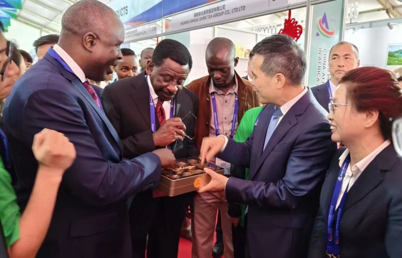 益陽黑茶香飄非洲 2024中非經貿博覽會上的經貿橋梁